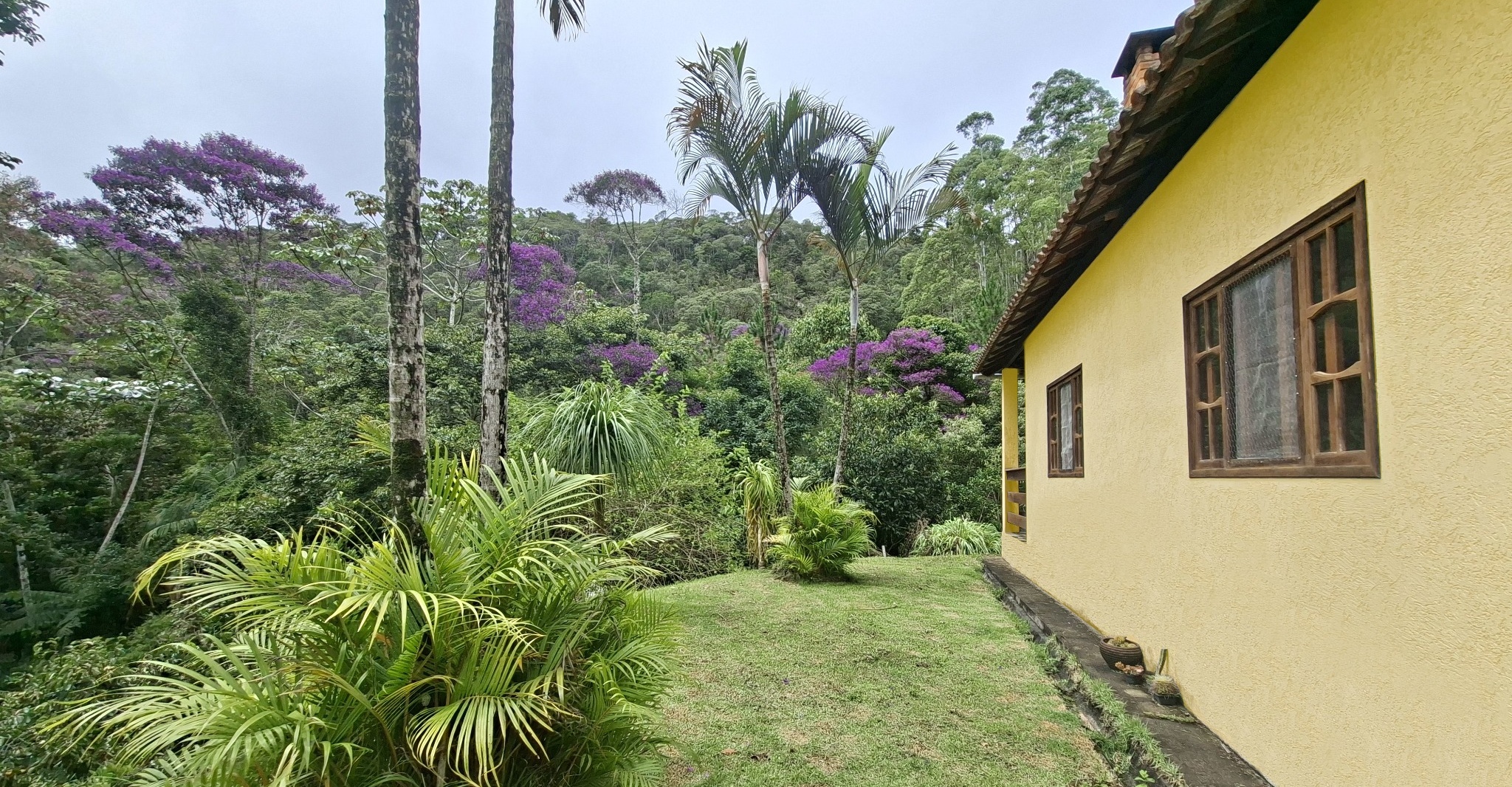 Vista da Mata Atlântica e da casa de hóspedes do Santuário Jacupemba